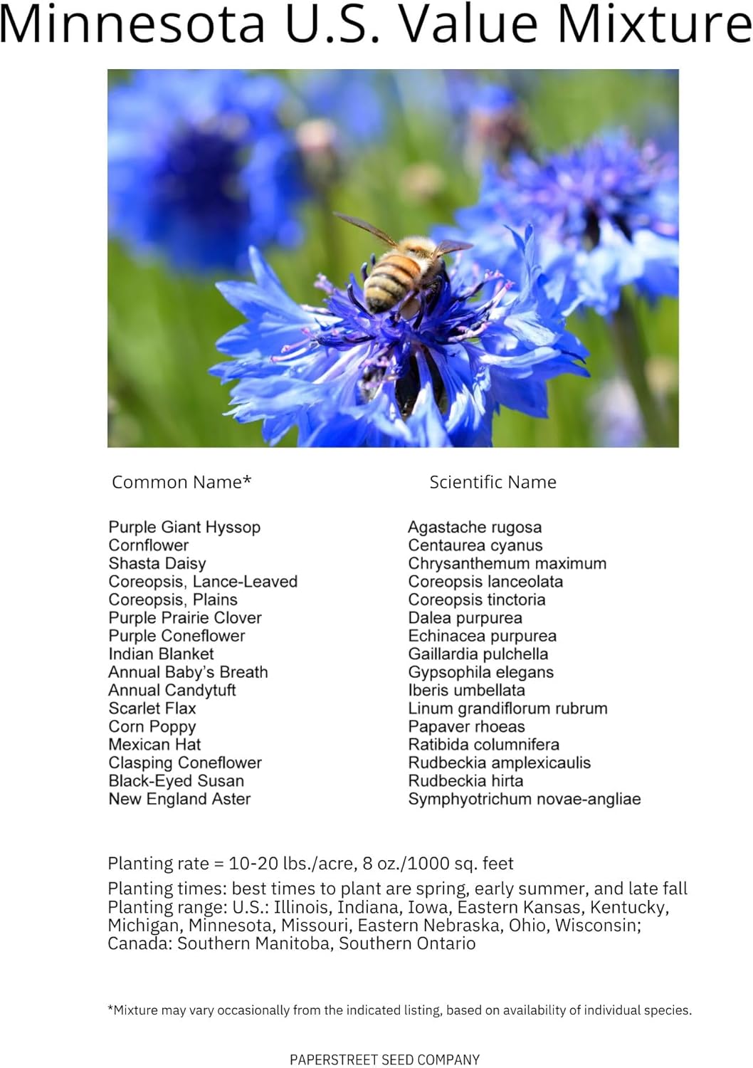 Minnesota Bulk Perennial Wildflower Seed Mix 1lb Covers 2,000sq-ft - Attract Pollinators, Multi-Color Blooms - Midwest US Species Plant in Spring/Fall - Earth-Friendly Packaging (1/4 Pound)