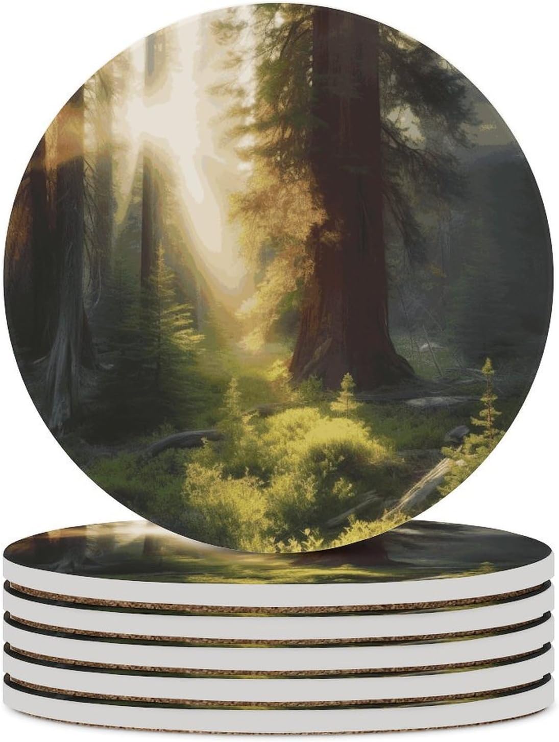 Morning Sunlight in Wilderness Coasters for Drinks Absorbing Round Ceramic Stone Coaster with Cork Base Coffee Cup Beverage Table Cup Mat Modern Style Bar Coaster Set for Home Decor
