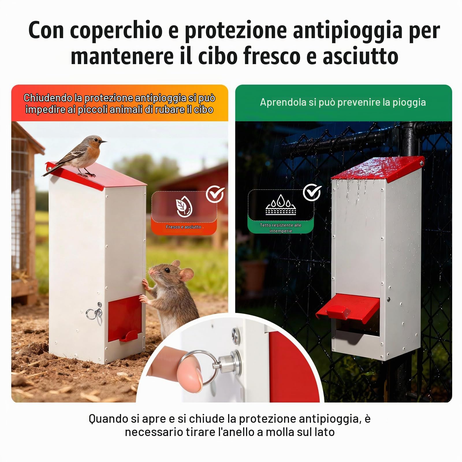 3kg Mangiatoia Automatica per Pollame Senza Sprechi Mangiatoia Galline Automatica in Acciaio Inox Esterni Alimentatore Automatico per Polli Anatre Pollame