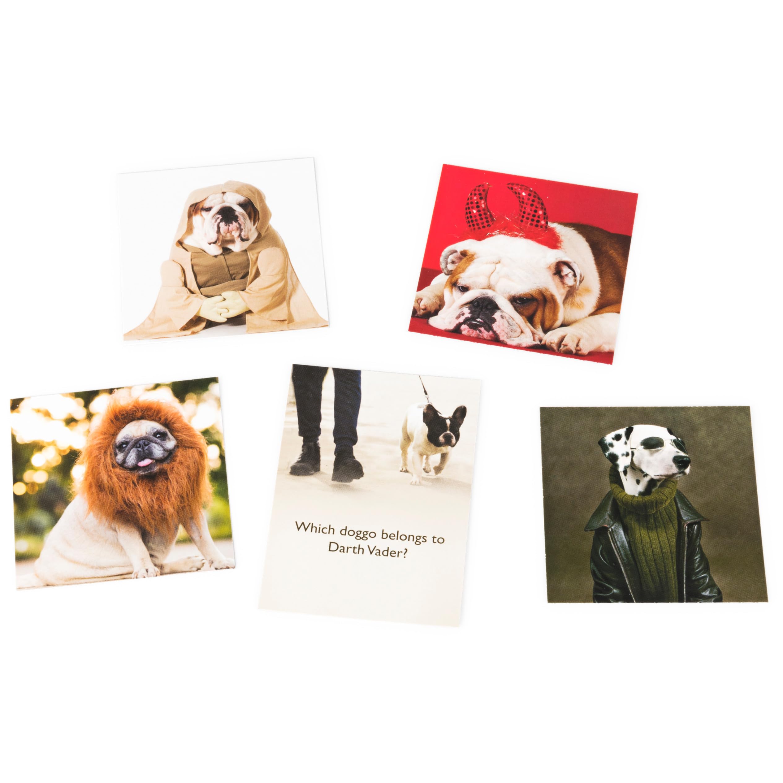 The Dog Game, Hilarious Family Game with Doggos, for Ages 8 and Up