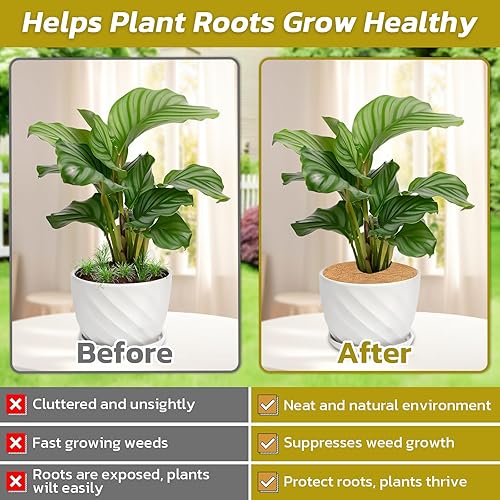 Vista 19 de Legigo 20 alfombrillas protectoras de fibra de coco, anillo de fibra de coco, 11.8 pulgadas, anillo de protección de fibra de coco natural, cubierta