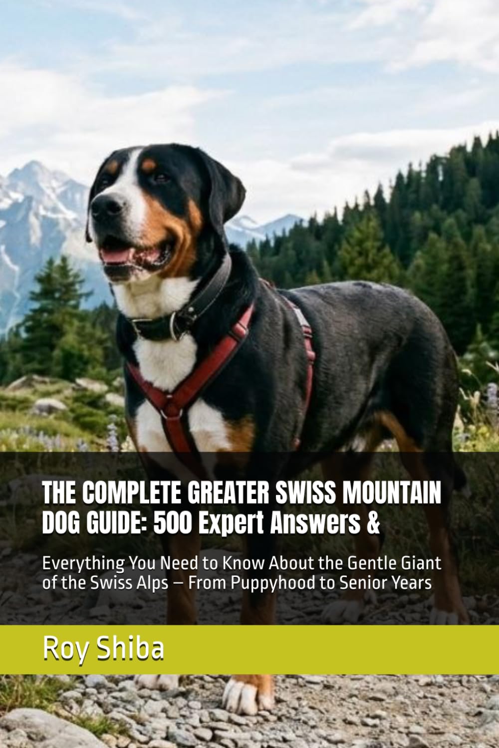 THE COMPLETE GREATER SWISS MOUNTAIN DOG GUIDE: 500 Expert Answers &: Everything You Need to Know About the Gentle Giant of the Swiss Alps – From ... Senior Years (The Complete Dog Guide Series)