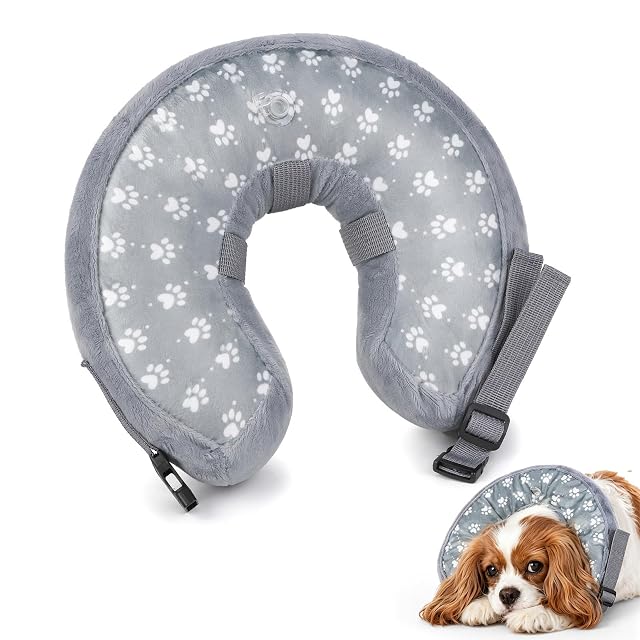 Collar Isabelino Perro, Inflable Collar Isabelino Gatos, Collar Isabelino, Collarin Gato Hinchable