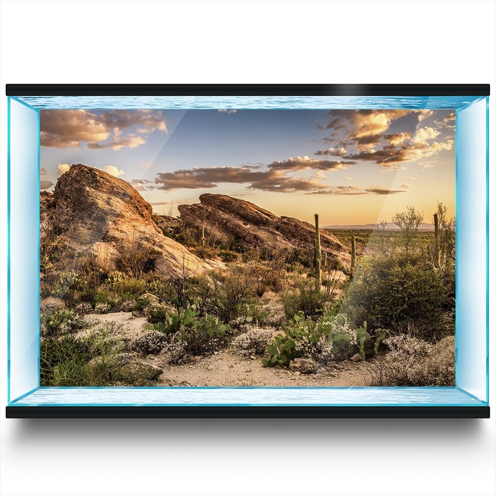 Aquarium Background Stickers - Desert Nature Landscape - Fish Tank Reptile Terrarium Decor Poster (90 x 60 cm / (35.4 x 23.6 inches))