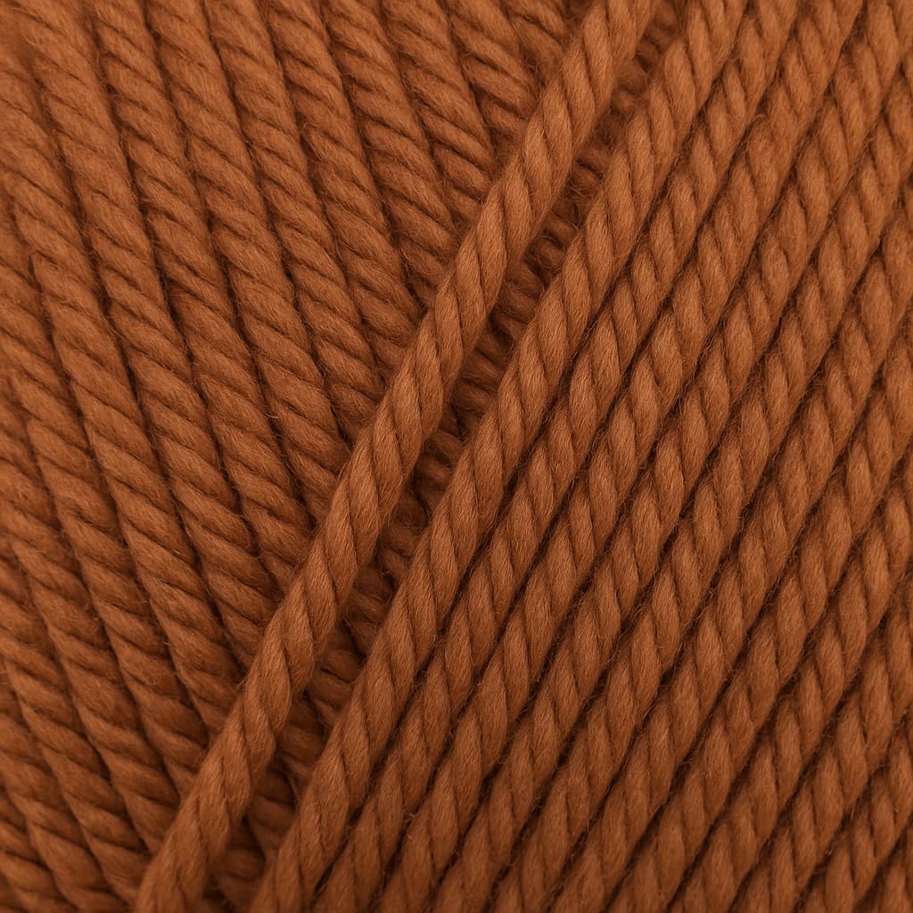 Big Twist Value Yarn 2-Pack Bundle-Toffee 100% Acrylic, 6oz Skeins (380 yds Each)
