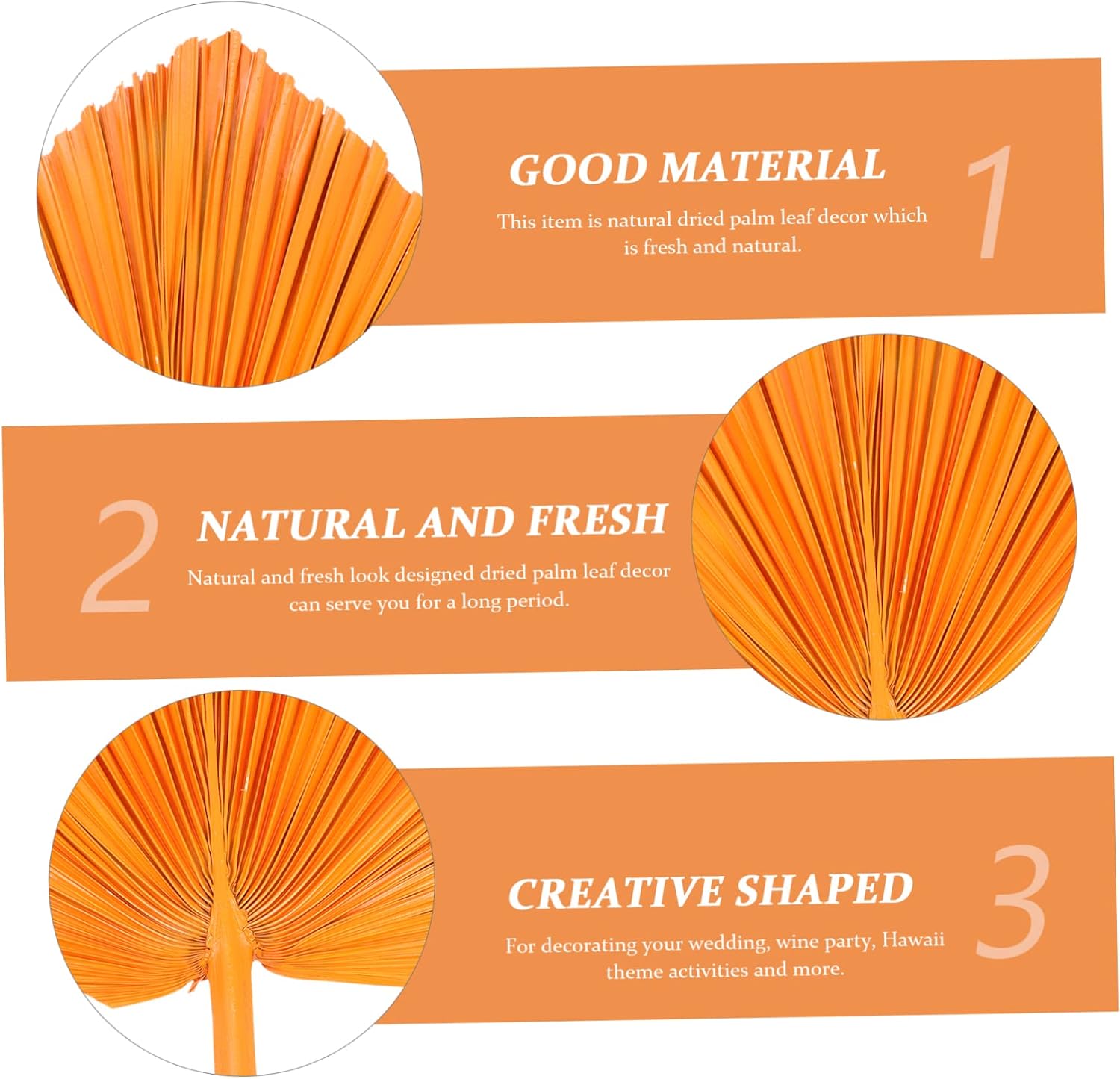 MAGICLULU Natural Dried Palm Leaf Decor Vibrant Wedding Arrangement and Photography Prop for Home Decor and Events Chic Faux Greenery for Art Wall and Window Displays