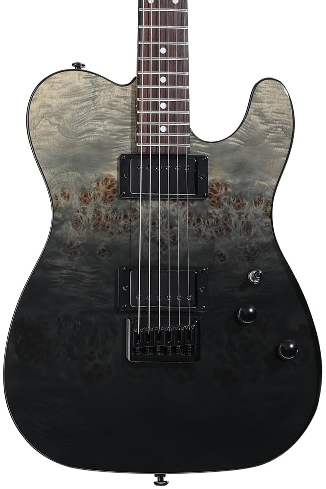 Amazon.com: Schecter PT Standard Electric Guitar - Black