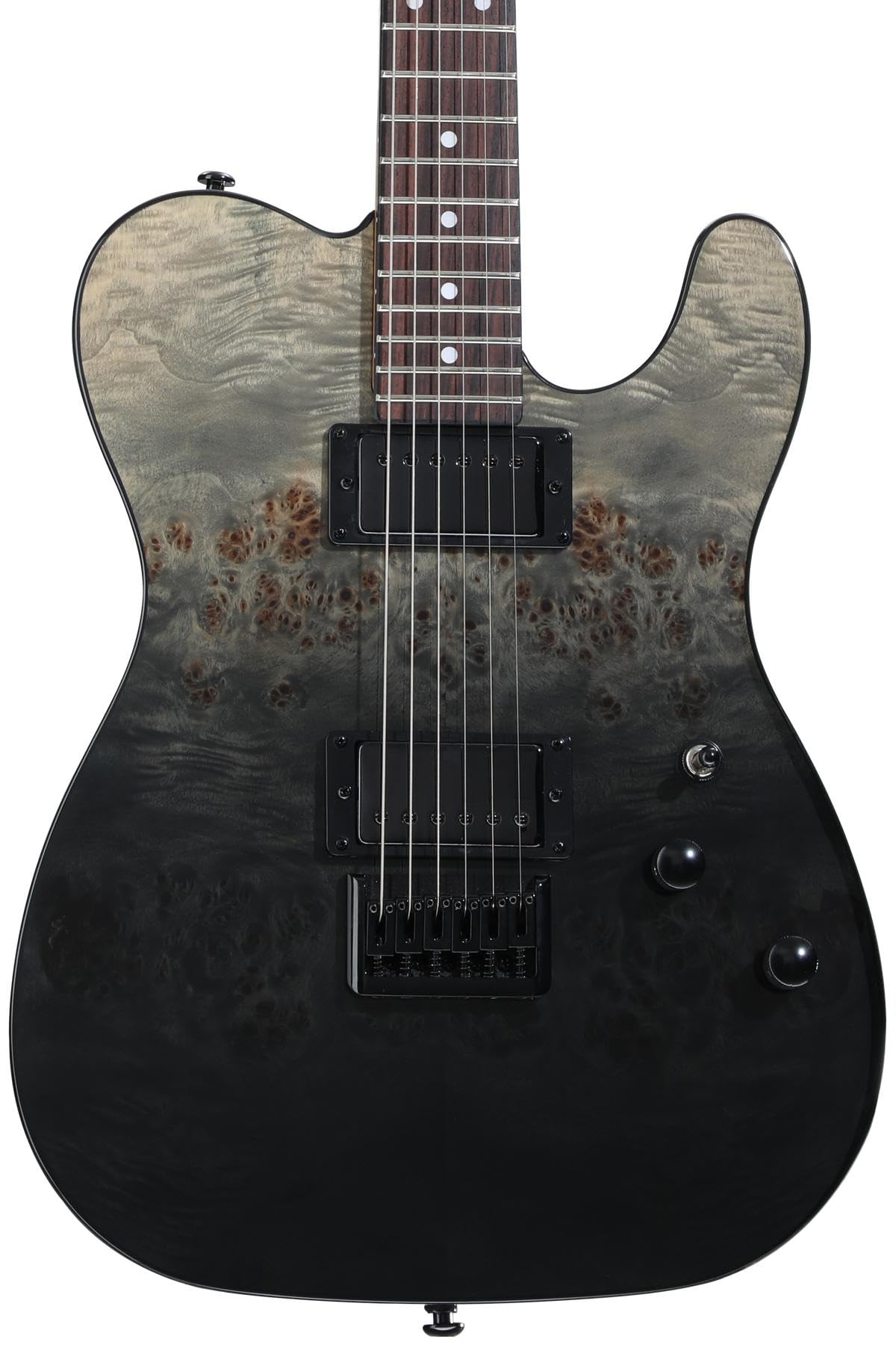 Amazon.com: Schecter PT Standard Electric Guitar - Black Fade