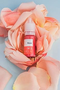 現品限り CharmerPrincesse リップカラー 色素 カラー インク Amazon | 【Hanafy Lip Pigments】 アートメイク リップインク