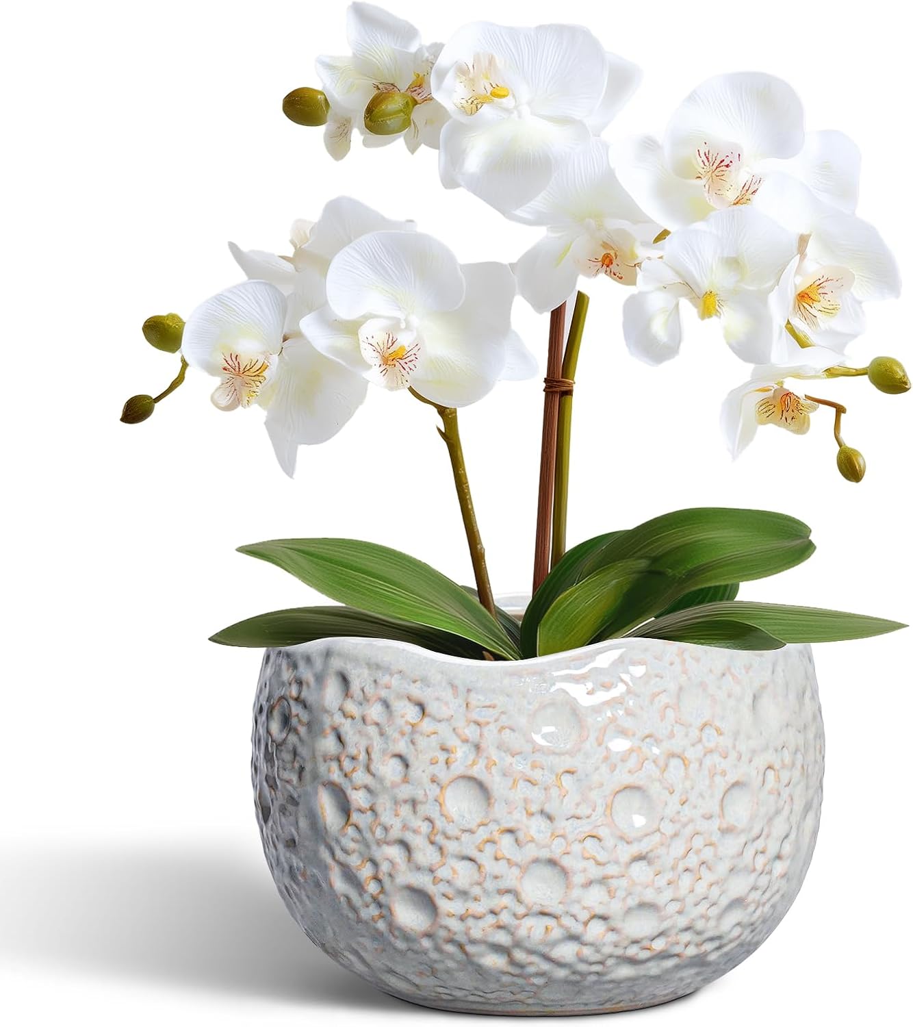 10 Inch Plant Pot - Ceramic Pots for Plants Indoor Outdoor, Round Bonsai Pots with Drainage Hole, Decorative Flower Pot, Modern Unique Planters, House Decor, Housewarming Gifts, Blue