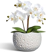 Vista 23 de Macetas de Cerámica Thirtypot - Maceta de 4 Pulgadas con Agujero de Drenaje, Macetas Pequeñas para Plantas de Interior y Exterior, Maceta Redonda