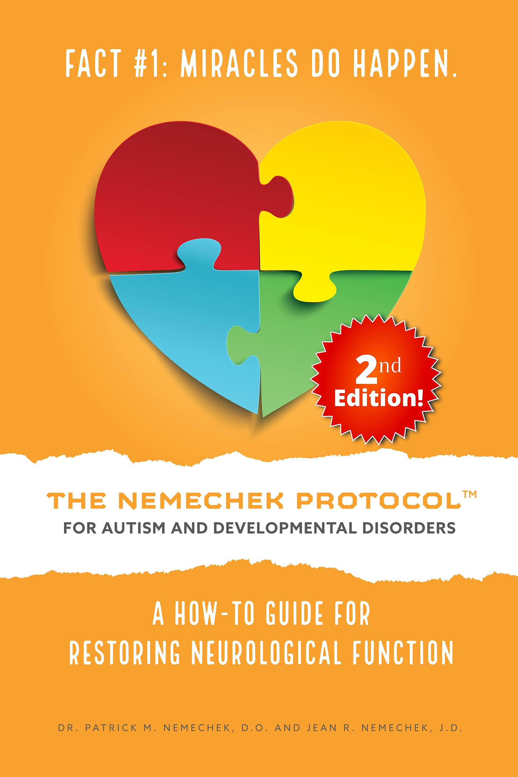 2nd Edition, The Nemechek Protocol for Autism and Developmental Disorders: A How-To Guide For Restoring Neurological Function