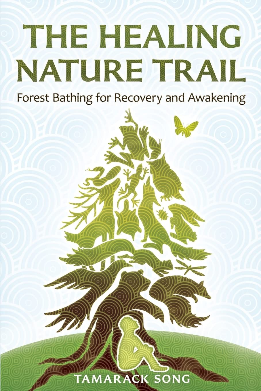 The Healing Nature Trail: Forest Bathing for Recovery and Awakening
