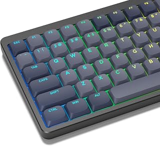 Womier Low Profile Keycaps - PBT Shine Through Keycaps | Mechanical Keyboard Caps, Custom Key caps Full Size for 60 65 75 100 Percent Cherry MX Switches Mechanical Keyboard, Gray