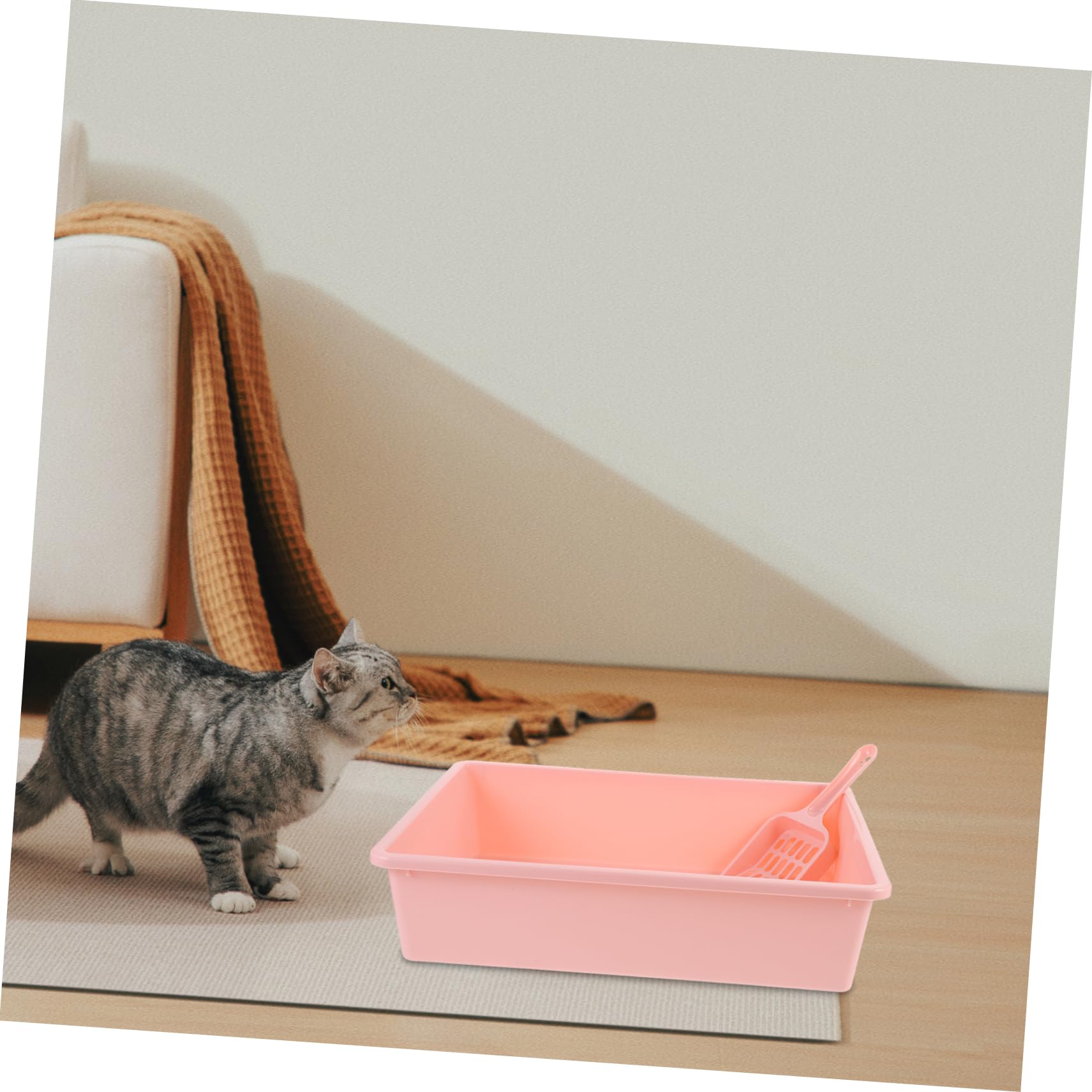 1set Lettiera Per Gatti Piccola Con Coperchio e Paletta Lettiera Aperta Portatile Per Gatti Design Pratico e Materiale Resistente Per Casa e Viaggi