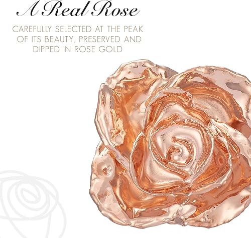 Miniatura 2 de Forever Rose Combo de jarrón de corazón acrílico, atemporal, único, rosa bañada en oro rosa, romántico jarrón en forma de corazón incluido