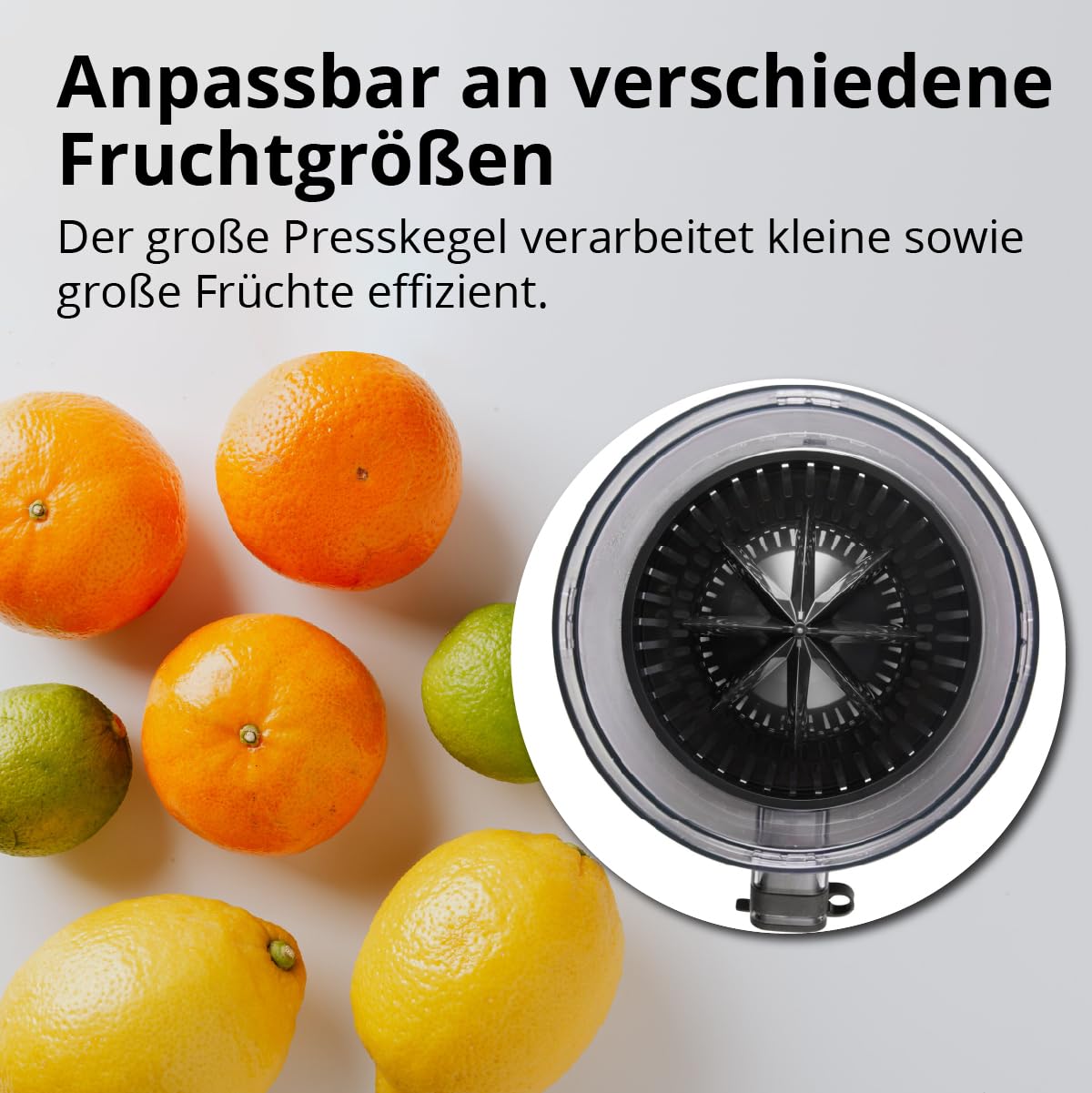 EUREL OA42 Elektrische Zitruspresse – Kabellose Zitronenpresse mit Akku – Saftpresse elektrisch für Zitrusfrüchte, BPA-frei, Schwarz