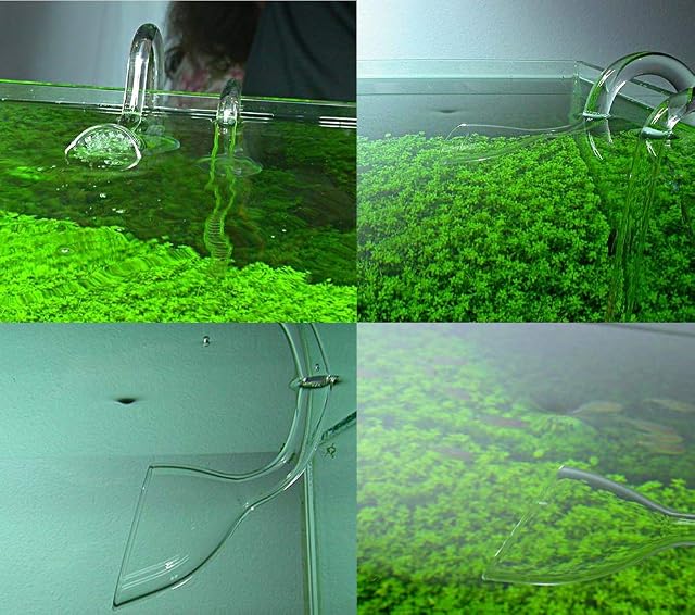 Foto 6 de 6 de FZONE Kits De Tubería De Lirio De Vidrio para Acuario con Entrada Y Salida De Cepillo para Sistema De Filtro…
