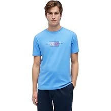 Tommy Hilfiger Men's Script Flag Regular Tee Mw0mw43226 S/S T-Shirt Pack of 1