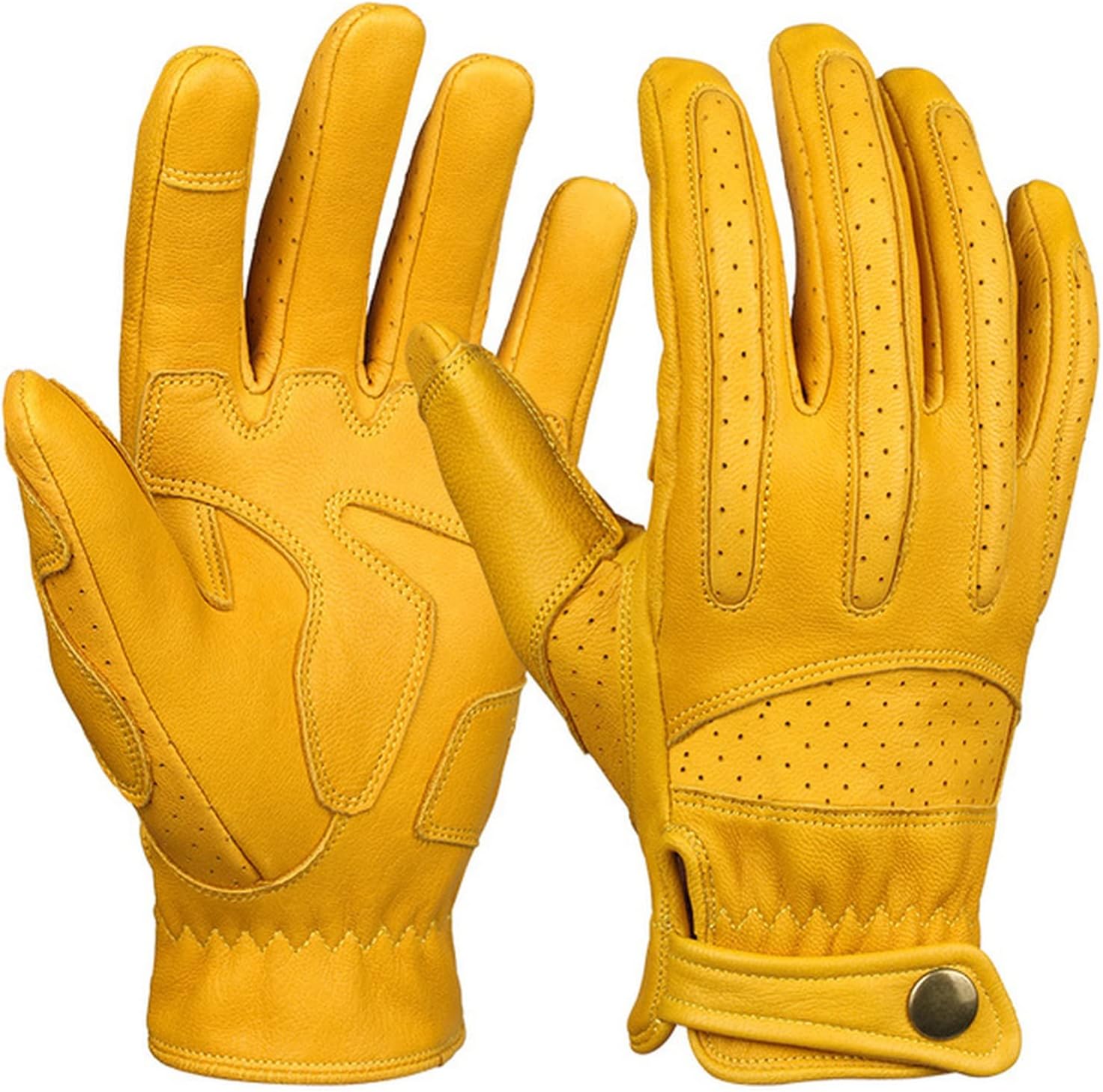 真作】F6 東直人【秋日】 gallery購入品 表サイン有 共シール有 2025年