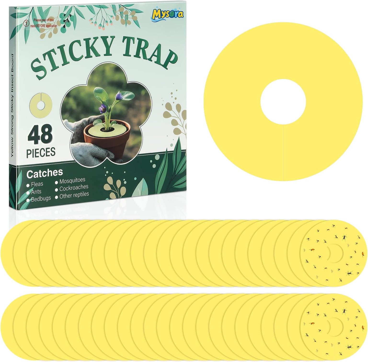 48 Pcs Fruit Fly Traps Fungus Gnat Sticky Traps Yellow Round Ring for Pot Plants Indoor Outdoor Mosquito Flying Insects (M)