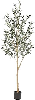 Olive Tree