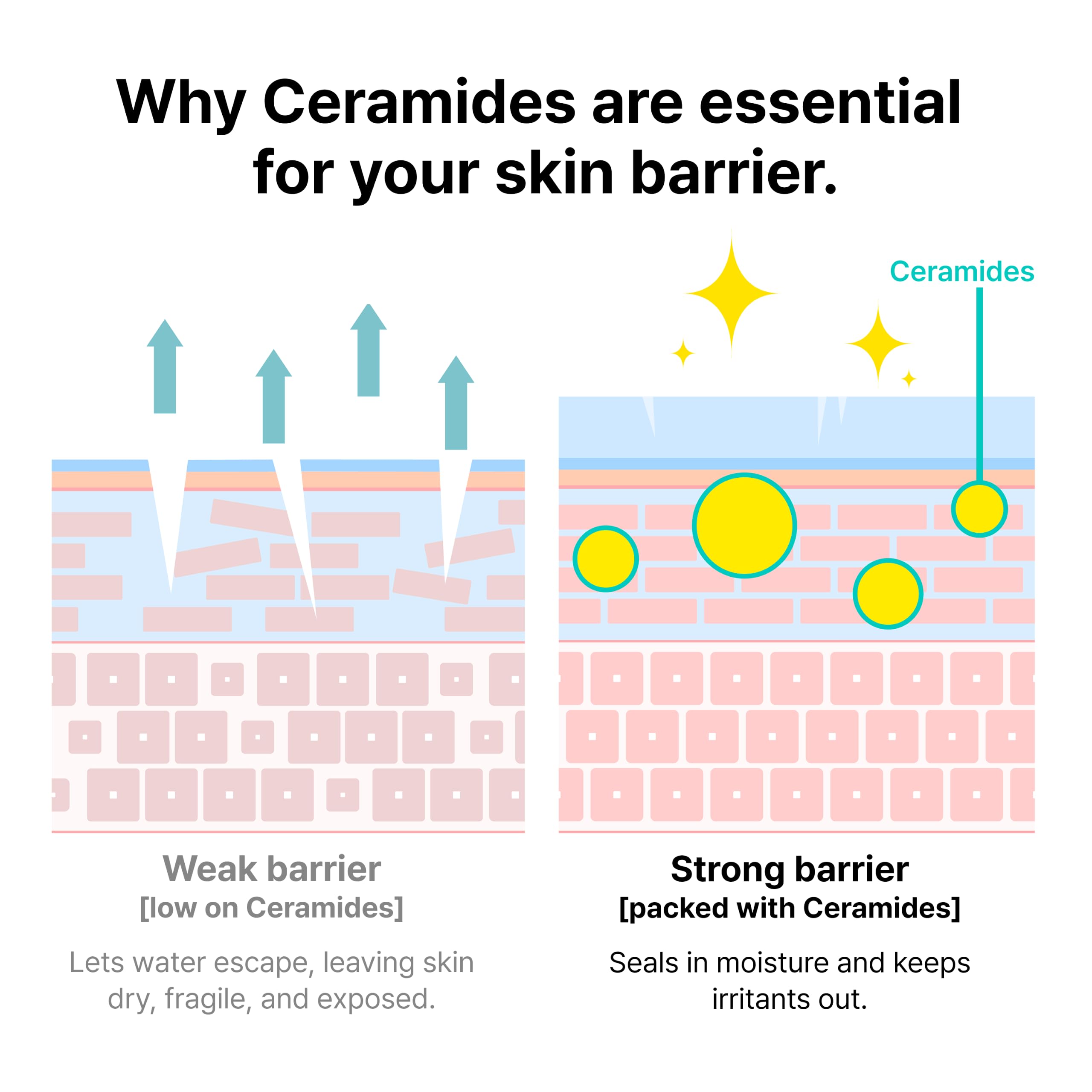 Dr.Jart+ Ceramidin Skin Barrier Face Cream with Ceramides