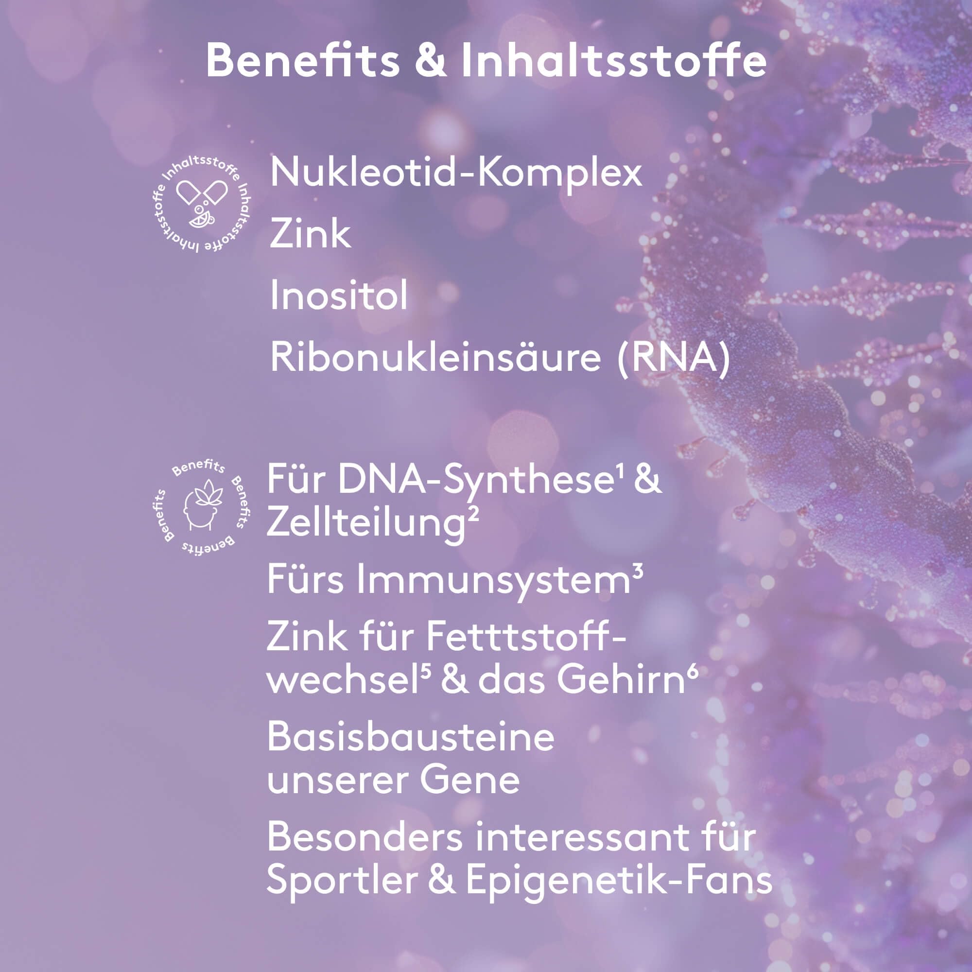 MITOcare Nukleotide Pulver - Zink hilft bei der Zellteilung, was sich positiv auf die Fruchbarkeit auswirken kann - Kann die DNA-Synthese und den Stoffwechsel anregen - In praktischer Pulverform