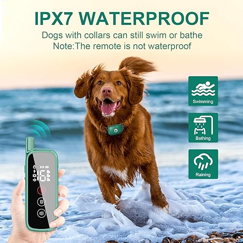 Miniatura 4 de Collar de entrenamiento para perros, collar de choque para perros con bloqueo de seguridad, collar electrónico impermeable con control remoto de