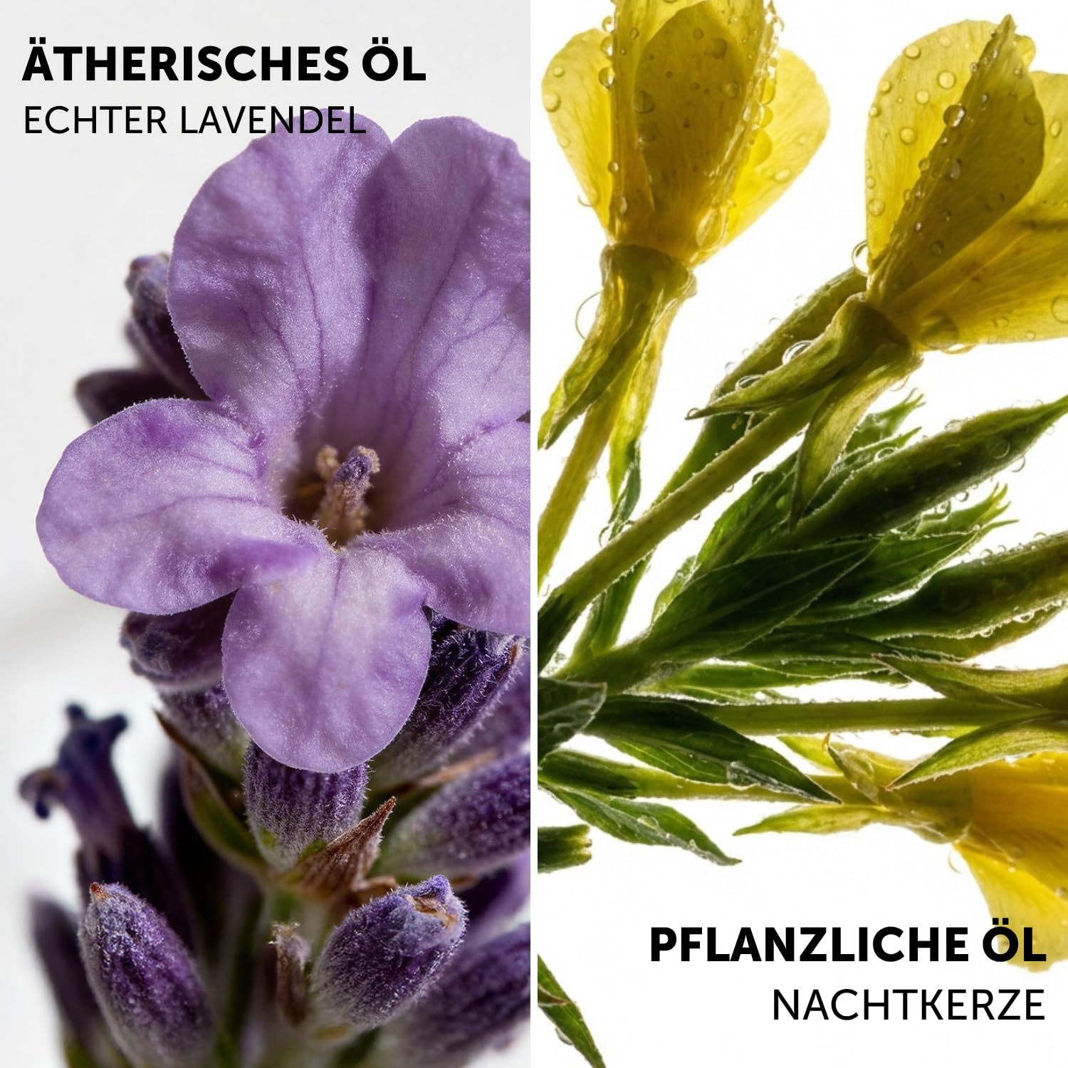 Decléor Aromessence Lavande Iris straffendes Anti-Aging-Gesichtsserum mit ätherischen Ölen – Intensive Pflege mit ätherischen Ölen zur Glättung von Falten sowie zur Straffung und Revitalisierung der