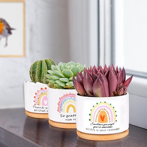 Miniatura 5 de SAIWEILAI - Juego de 9 macetas de cerámica para suculentas con bandejas de bambú, macetas redondas pintadas para decoración de escritorio interior,