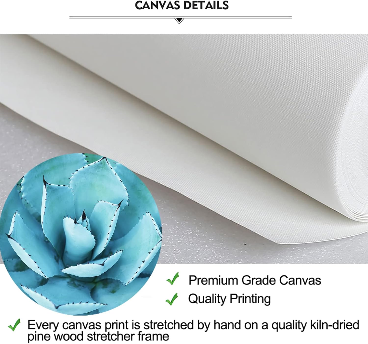 iKNOW FOTO Canvas Set of 4 Wall Art Green Blue Succulent Plant Pictures Giclee Prints Botanical Photography Gallery Wrap Modern Home Decor Ready to Hang 12x12inchx4pcs