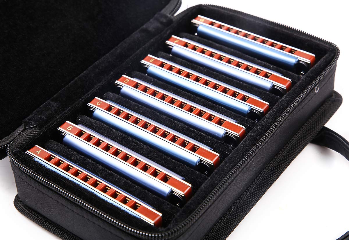 ABCDEFG - Armonica blues diatonica a 10 fori, con custodia, 20 toni per principianti, studenti, adulti e giocatori professionisti (ABCDEFG -7keys)