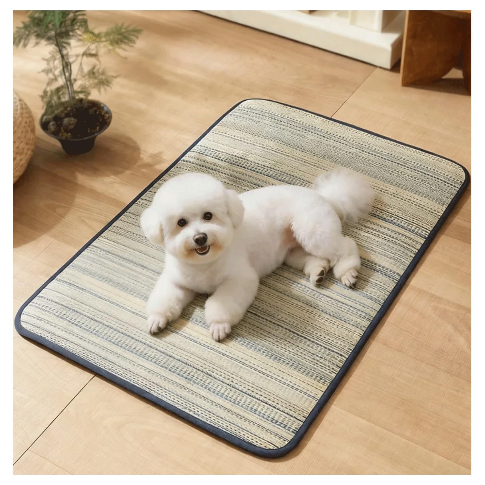 Tapis rafraîchissant pour chien en rotin herbe naturelle 50x70