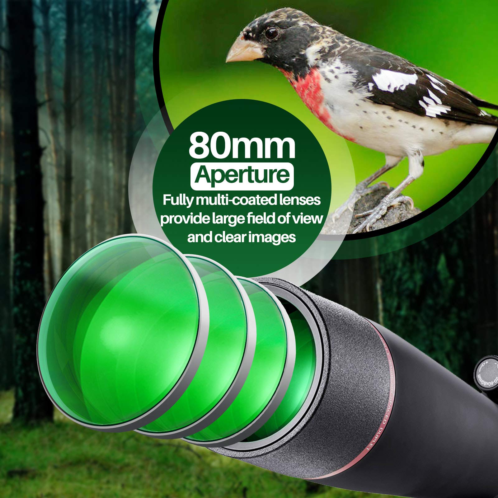 HUTACT 20–60x80 Monokular – Hochleistungs-Fernrohr Für Vogelbeobachtung, Jagd & Outdoor