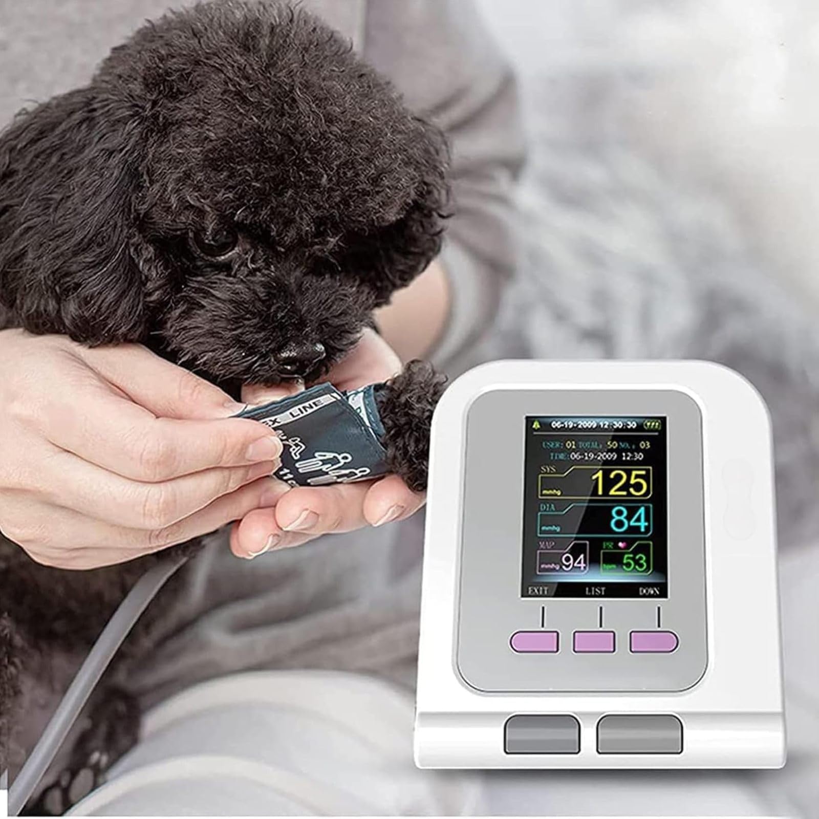 Esfigmomanómetro Electrónico Veterinario, Monitor Digital de Presión Arterial Veterinario, Medición de La Presión Arterial de Mascotas con 3 Manguitos, Pantalla LCD de 2,8 Pulgadas, para Perros/Gatos