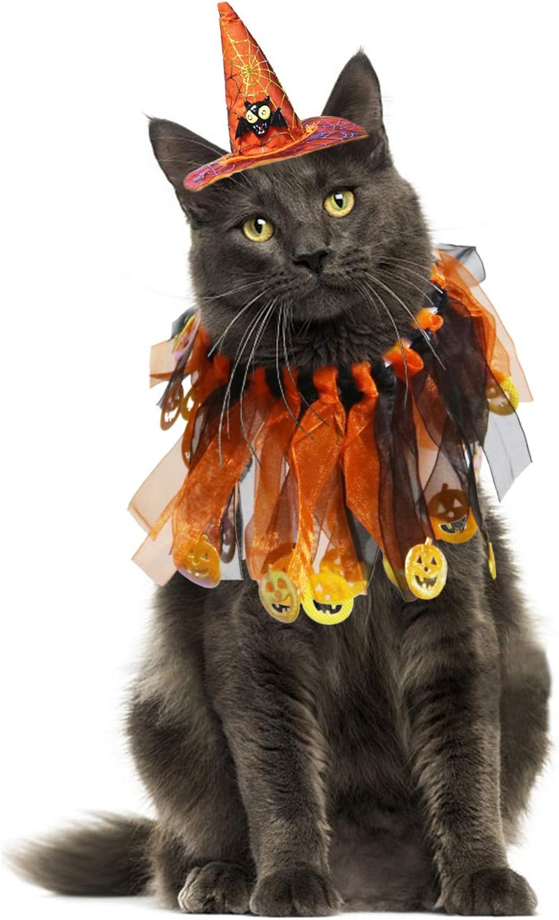 BWOGUE Cat Costume Halloween Pet Costumes Pumpkin Collar with Skull Hat Pet Apparel for Small Dogs and Cats