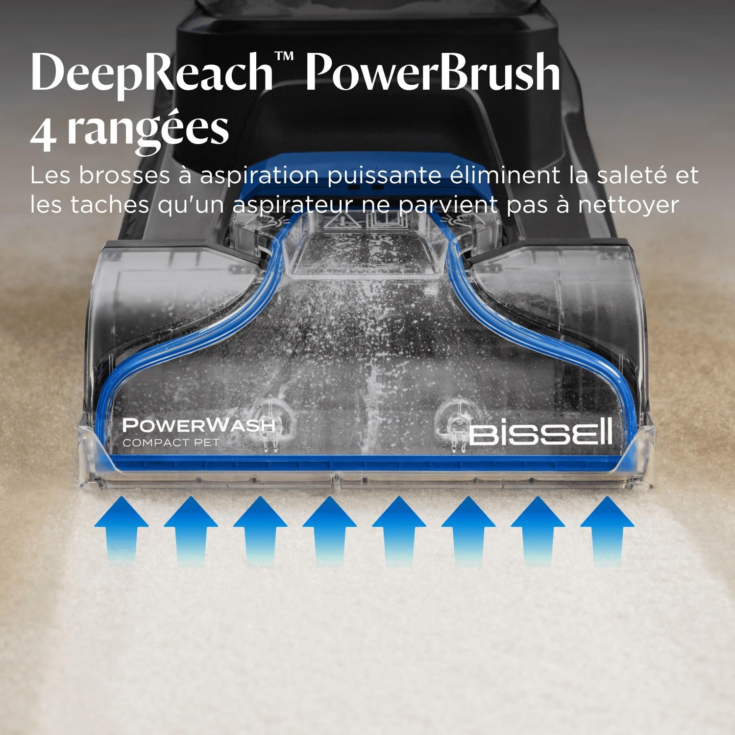 BISSELL PowerWash Compact Pet, Shampouineuse pour Taches et Odeurs d’Animaux, Nettoyeur Canapé Tissu Multisurfaces, Nettoyeur de Tapis, Moquette et Tapisserie, 600W, Portable, Filaire, 4058N