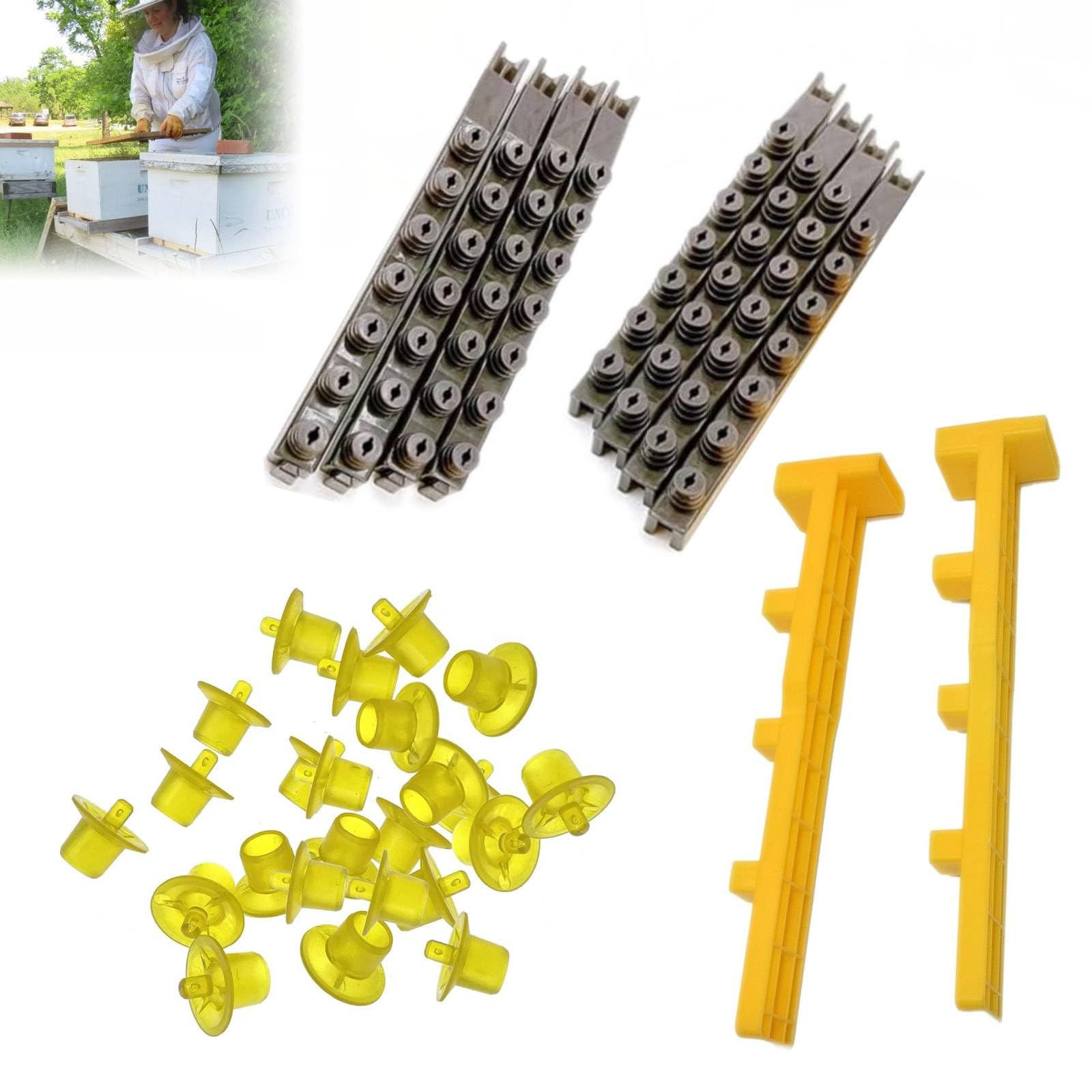 Amazon.com : JZBZ Queen Bee Rearing System Queen Bee Rearing Kit