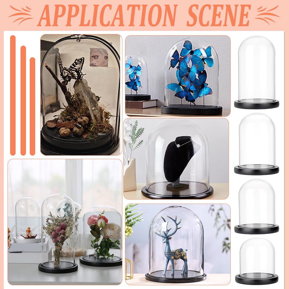 PH PandaHall 4 pièces Cloche en Verre Dôme avec Base en Bois, 4 Tailles Vitrine en Verre Clair Ronde Dôme de Présentation Décoratif Cloche pour Plantes Guirlandes Lumineuses Photos Succulentes