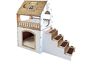 Two-Story, Economical Modern Dog House: A Haven for Your Furry Friend