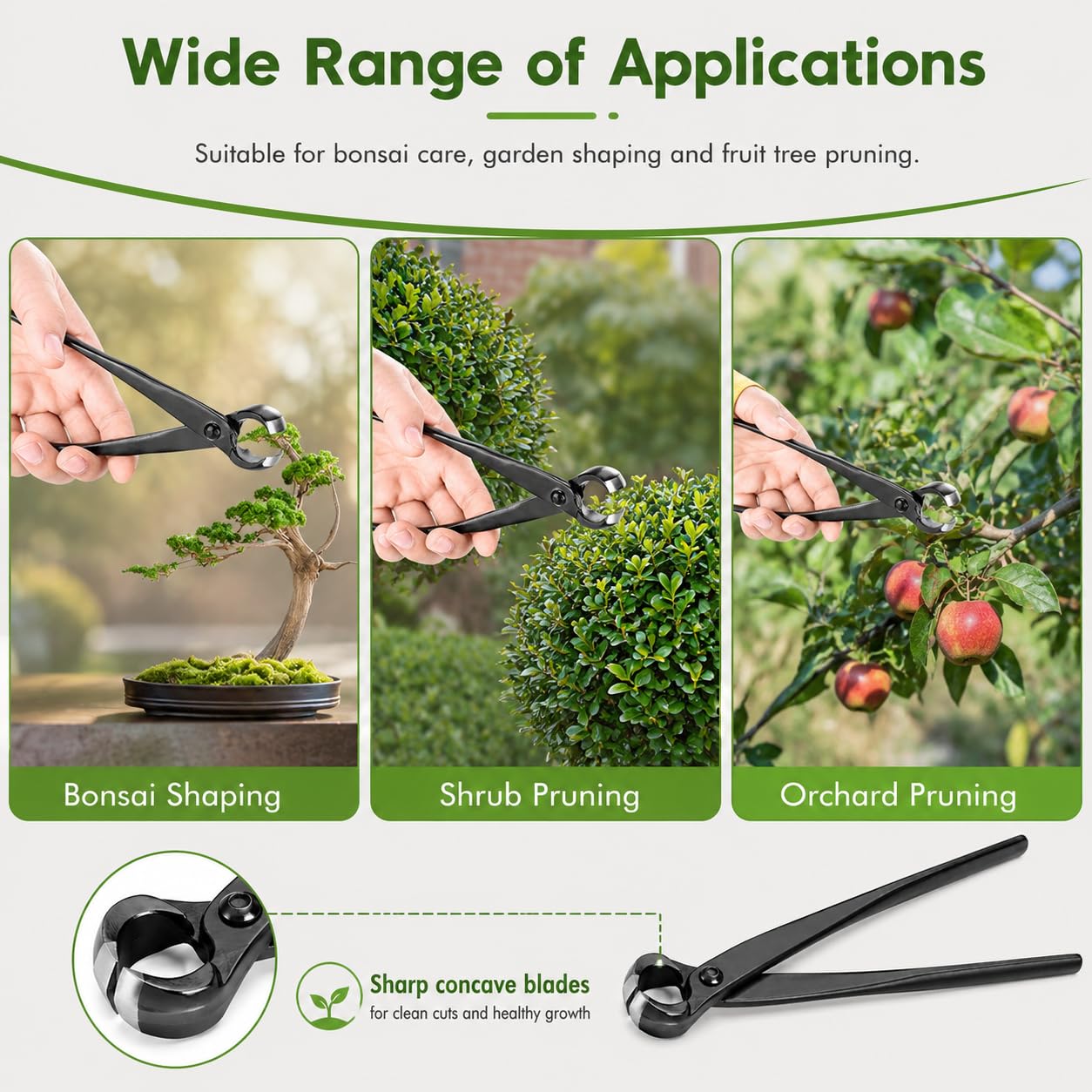 Taglierina Concava Bonsai, Attrezzi Bonsai Professionale, 210mm Concavo Cutter in Lega di Acciaio al Manganese, per Rimuovere Piccoli Rami, Sporgenze e Nodi