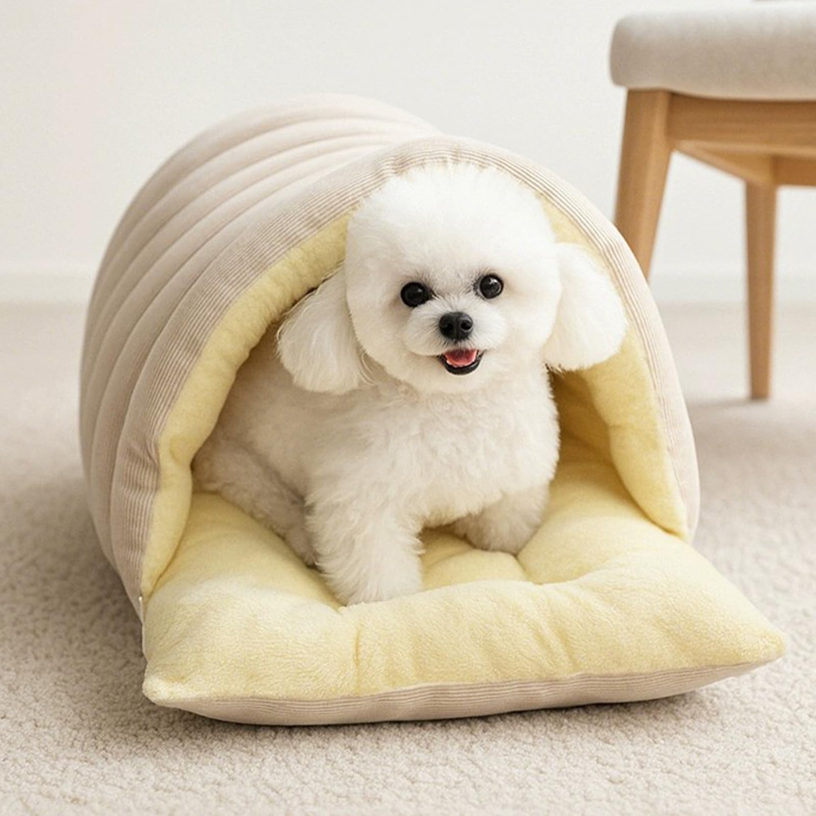 Panier pour Chat Douillet - 45x30x19cm Tente Moelleuse Et Chaude avec Coussin Amovible | Conception Coupe-Vent | Tente Douce Et Chaude pour Chats D'Intérieur & Petits Chiens