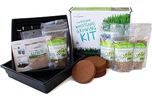 Wheatgrass Growing Kit Indoor - Organic, GMO-Free Seeds for Healthier Wheatgrass Shots,...