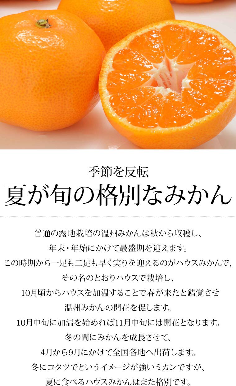 Amazon.co.jp: みかん 佐賀ハウスみかん 約1kg Sサイズ 12個 佐賀県産