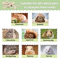 Vista 3 de Sukh 240g de palitos masticables de bambú dulce - Palitos de bambú natural para conejos, juguete masticable para animales pequeños, golosinas