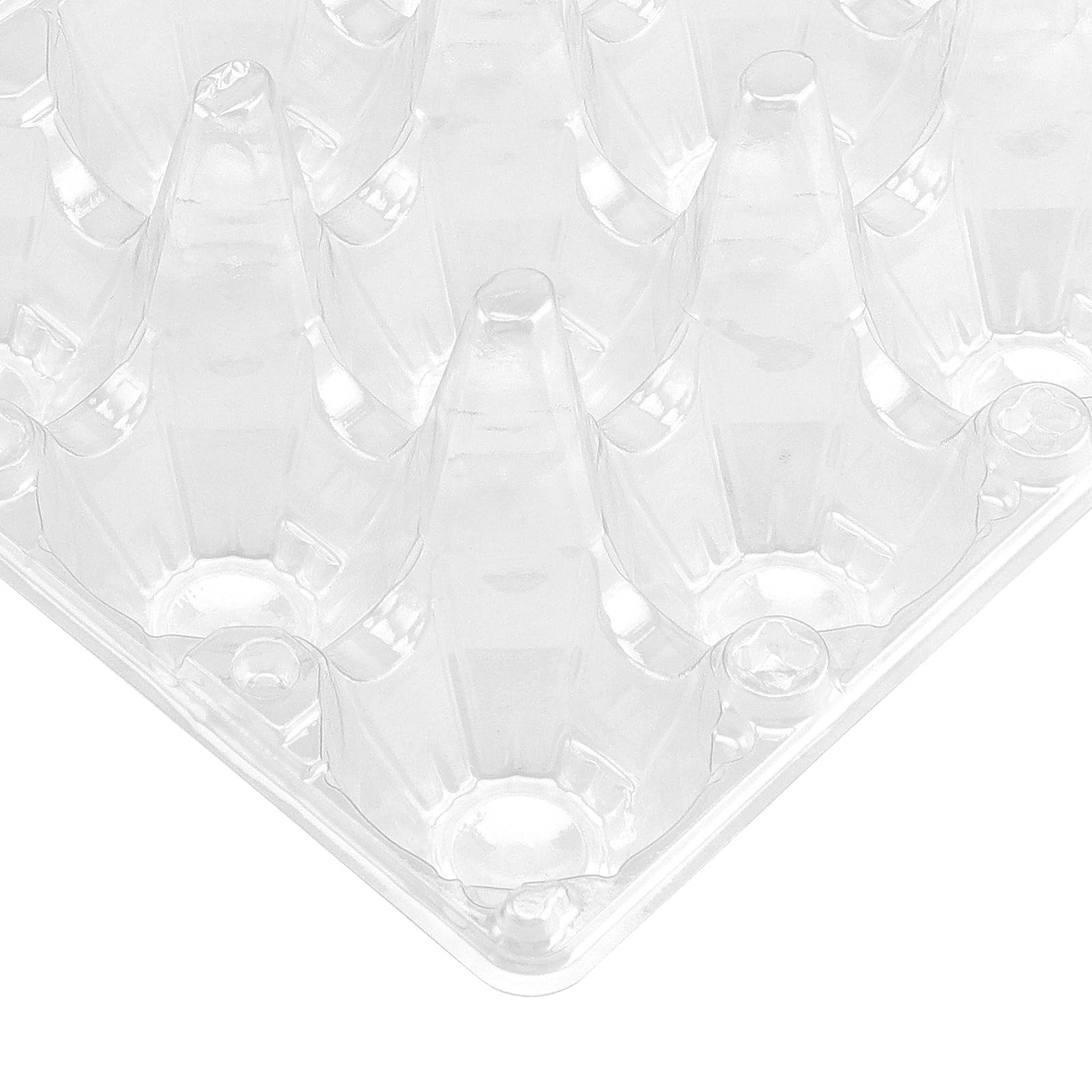 100 Pz Scatole per Uova di Quaglia Plastica Portauova di Quaglia Riutilizzabili a 12 Griglie Trasparente Contenitore per Uova Quail con Coperchio