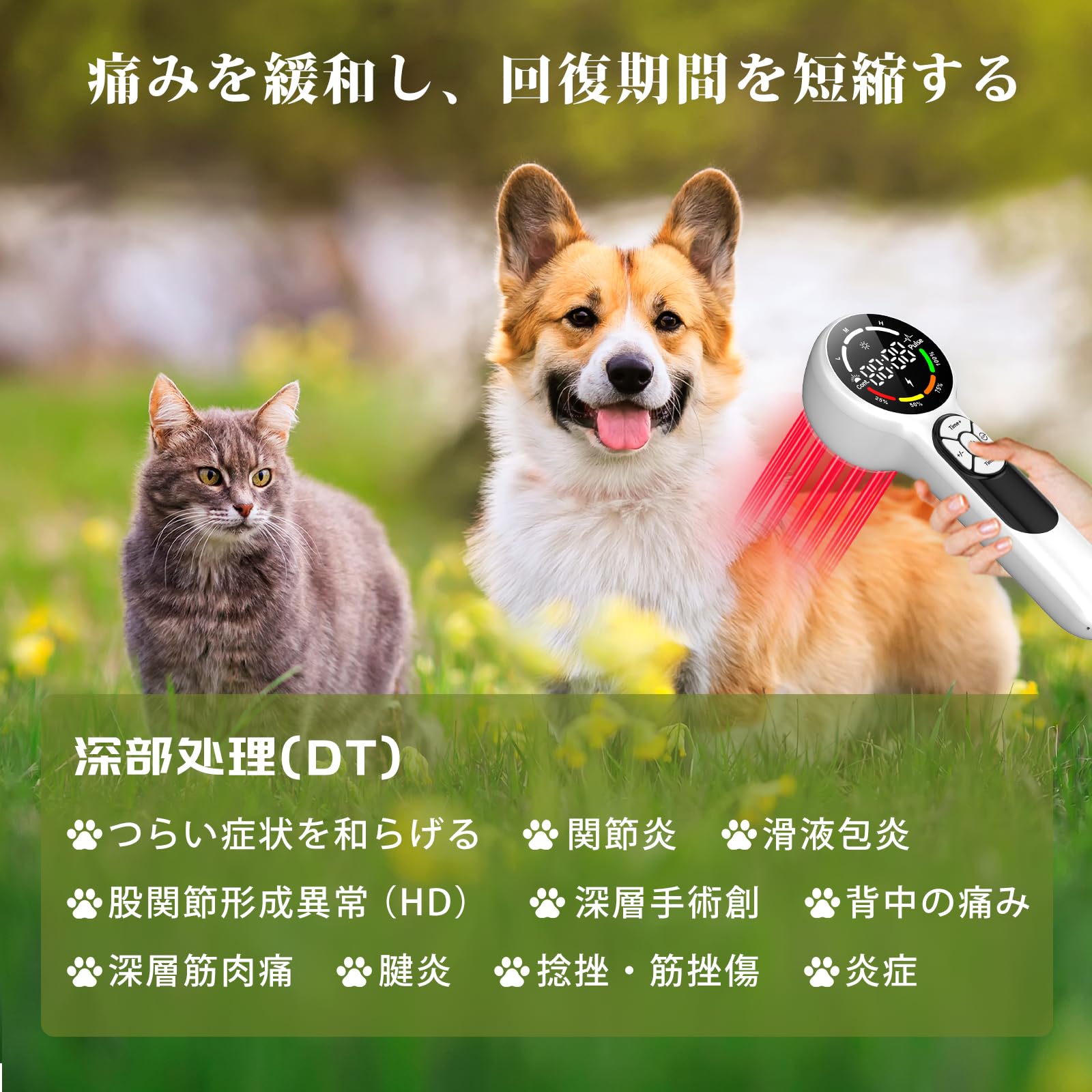 Amazon.co.jp: 動物用レーザー 赤色ledスーパーライザー 犬 猫 動物用