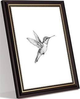 Framed Hummingbird Sketch Canvas Wall Art Minimalist Black and White Bird Neutral Vintage Farmhouse Paintings Pictures Wall Decor Poster Print Artwork for Bedroom Living Room Home Decoration