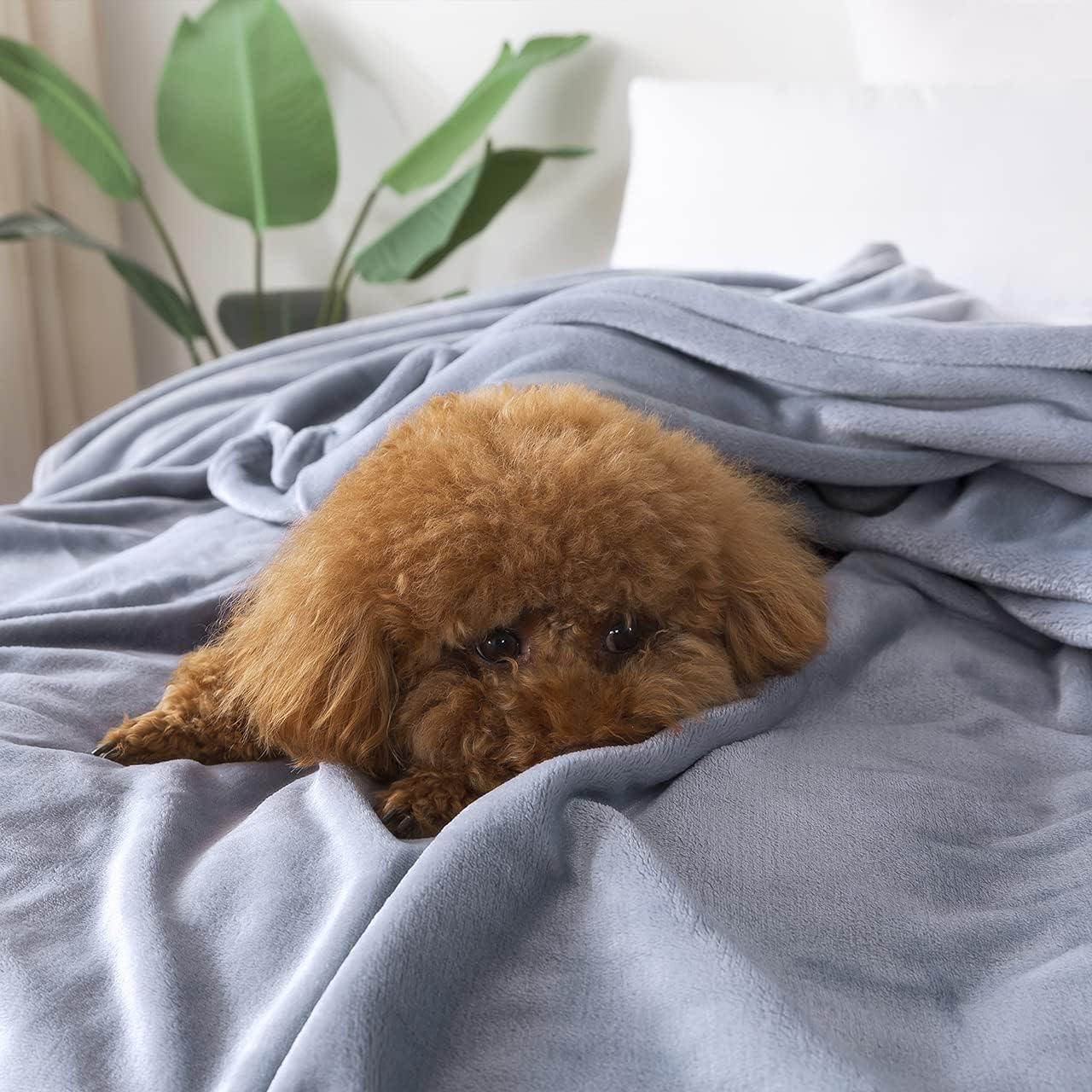 ONME Fleece Blanket Throw Size Gray, Soft Cozy Microfiber Flannel Blankets for Sofa/Chairs/Bed - Lightweight, Warm, Cozy : Home & Kitchen